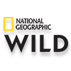 бесплатно смотреть передачи на канале National Geographic Wild